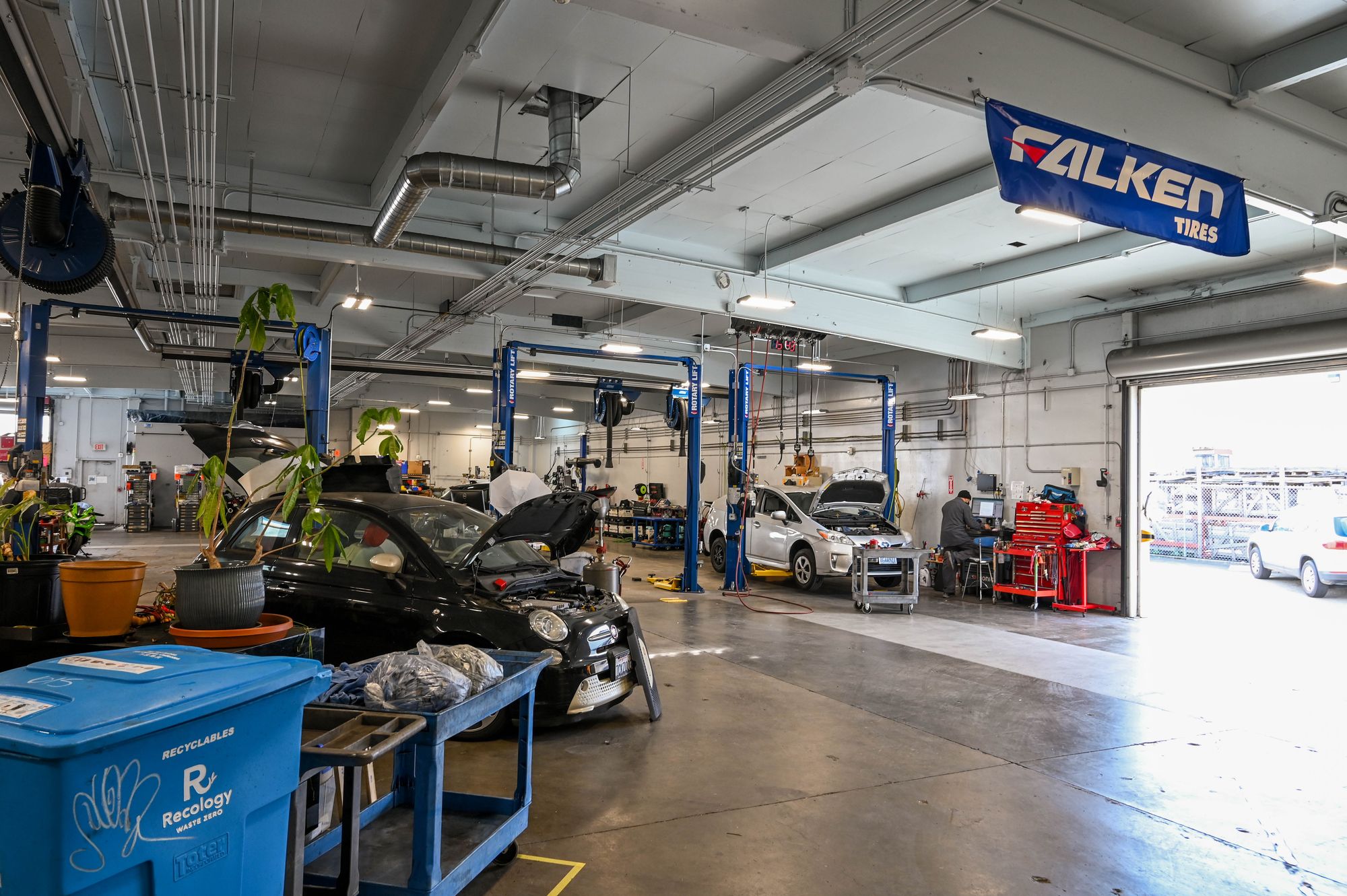 The Earthling bays with potted plants by the door, a Fiat 500e and a Prius on the lifts